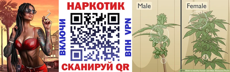 Где купить Лебедянь МАРИХУАНА  APVP  ГАШ  МЕФ 