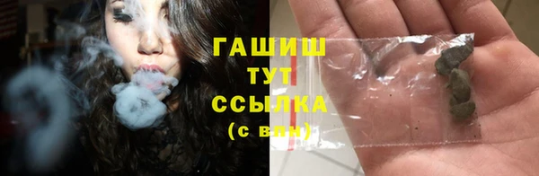 крисы Магас