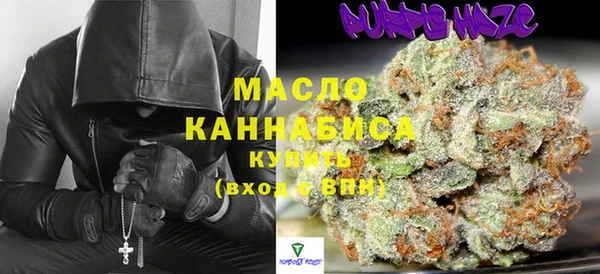 крисы Магас