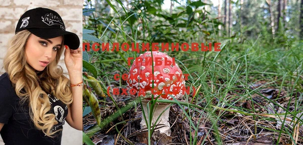 прущая мука Михайловск