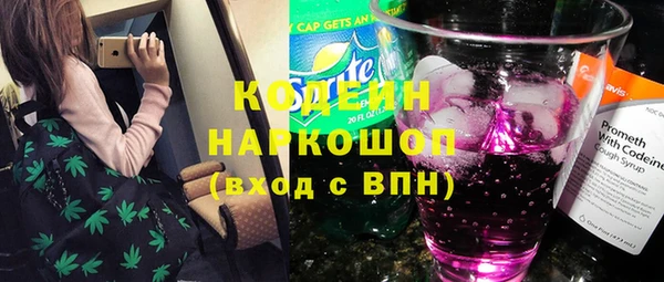 крисы Магас