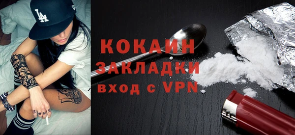 крисы Магас