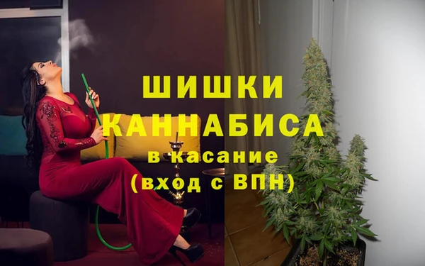 каннабис Майский