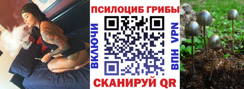 blacksprut ТОР  Лебедянь  Галлюциногенные грибы мицелий 